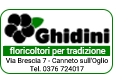 Ghidini Logo