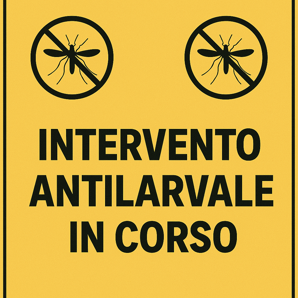 Immagine anteprima