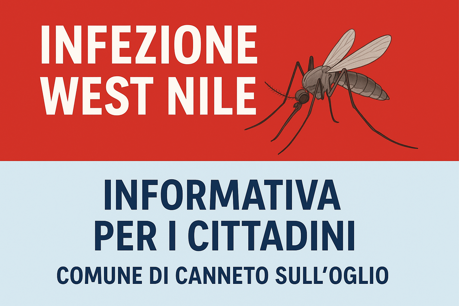 Immagine anteprima