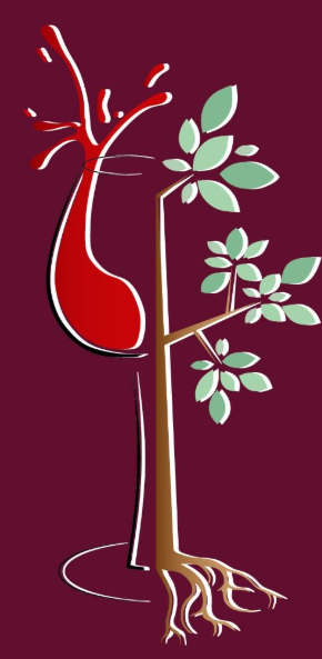 Immagine anteprima