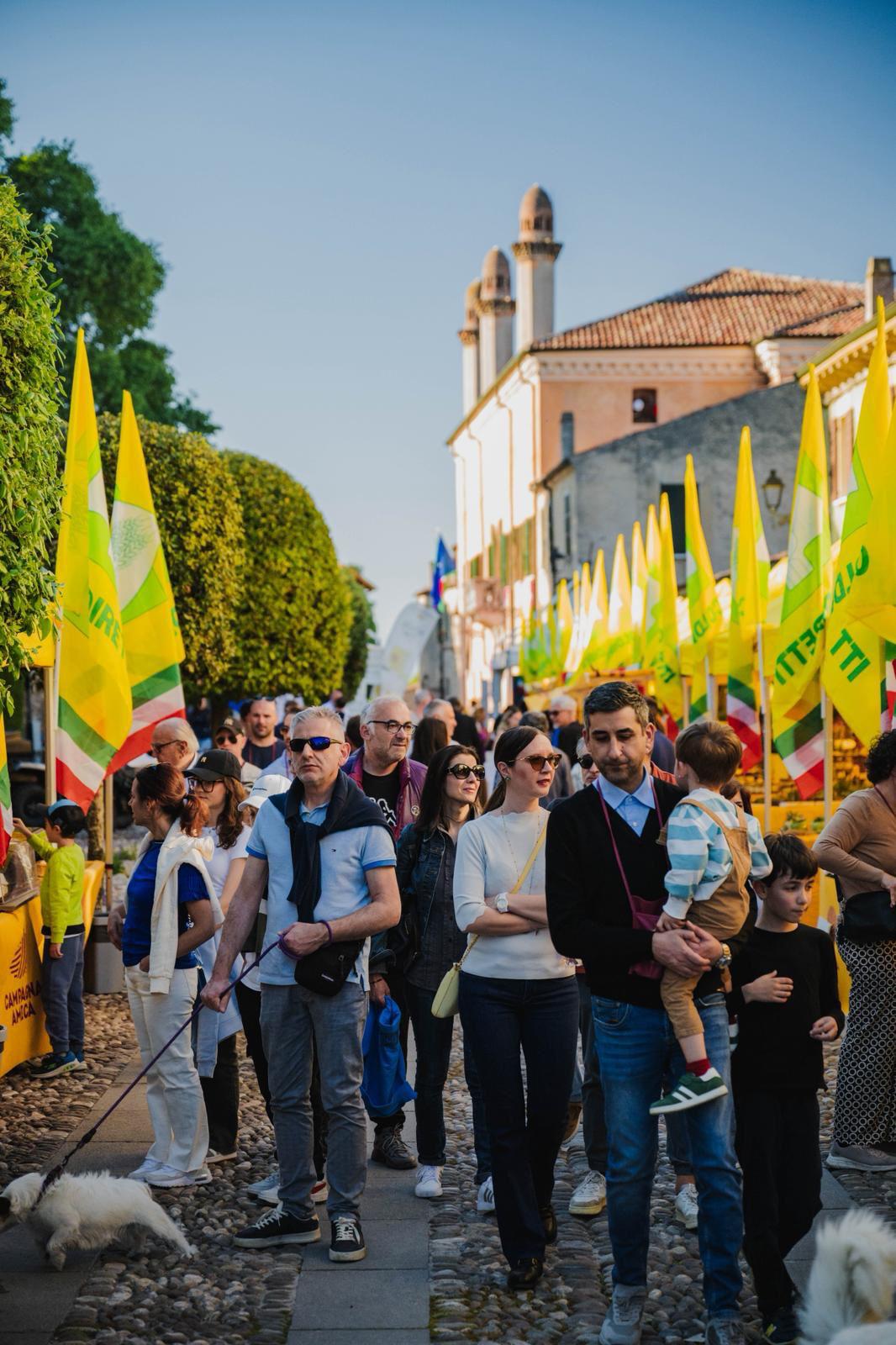 Immagine anteprima